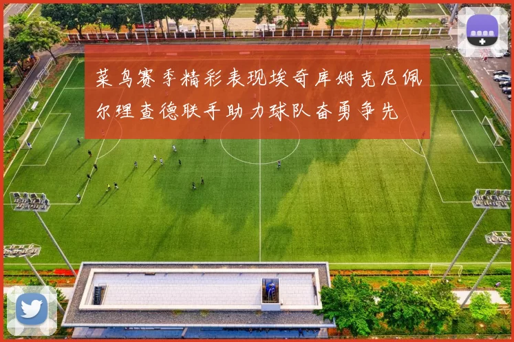 菜鸟赛季精彩表现埃奇库姆克尼佩尔理查德联手助力球队奋勇争先